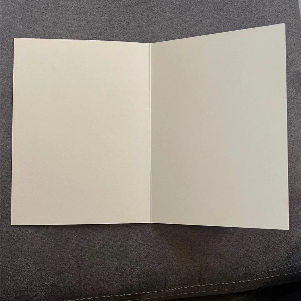 WHITE DOVE, BEAUTIFUL BURDEN De Grazia Note Cards Stationery Unused, Envelopes
